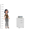 GAVETEIRO DURBAN 2 GAV MDP BRANCO FF LISO